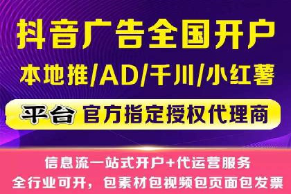 竞价广告策略案例分析